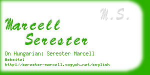 marcell serester business card